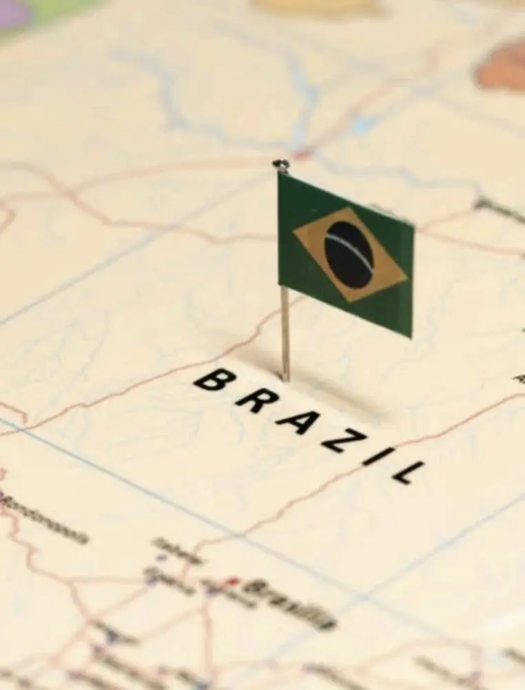 Brasillinois