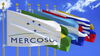 marcela_mercosul